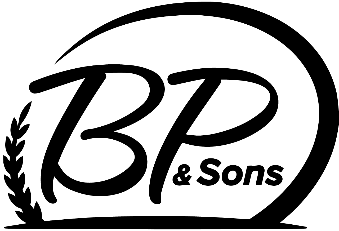 BP Motors